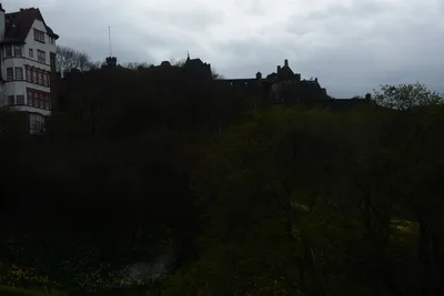 DSC_7324 (Large).JPG